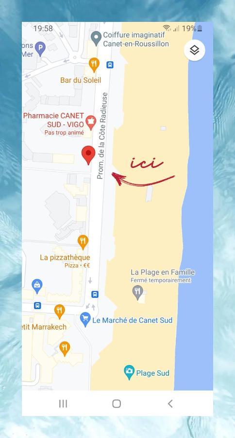 T1 Cozy en Bord de Plage avec Vue Mer Canet-en-Roussillon Eksteriør bilde